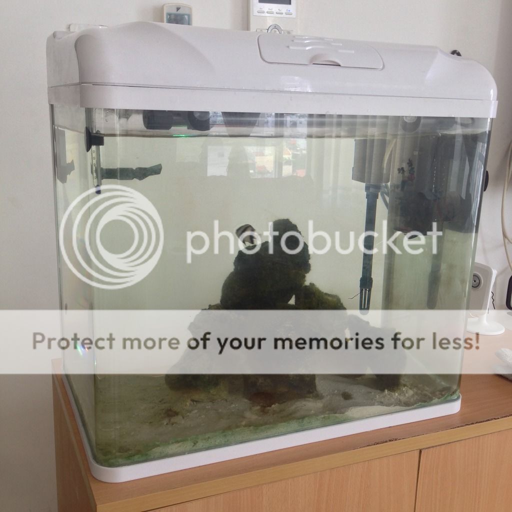 Bán 1 hồ đúc còn mới 50x30x50 còn mới