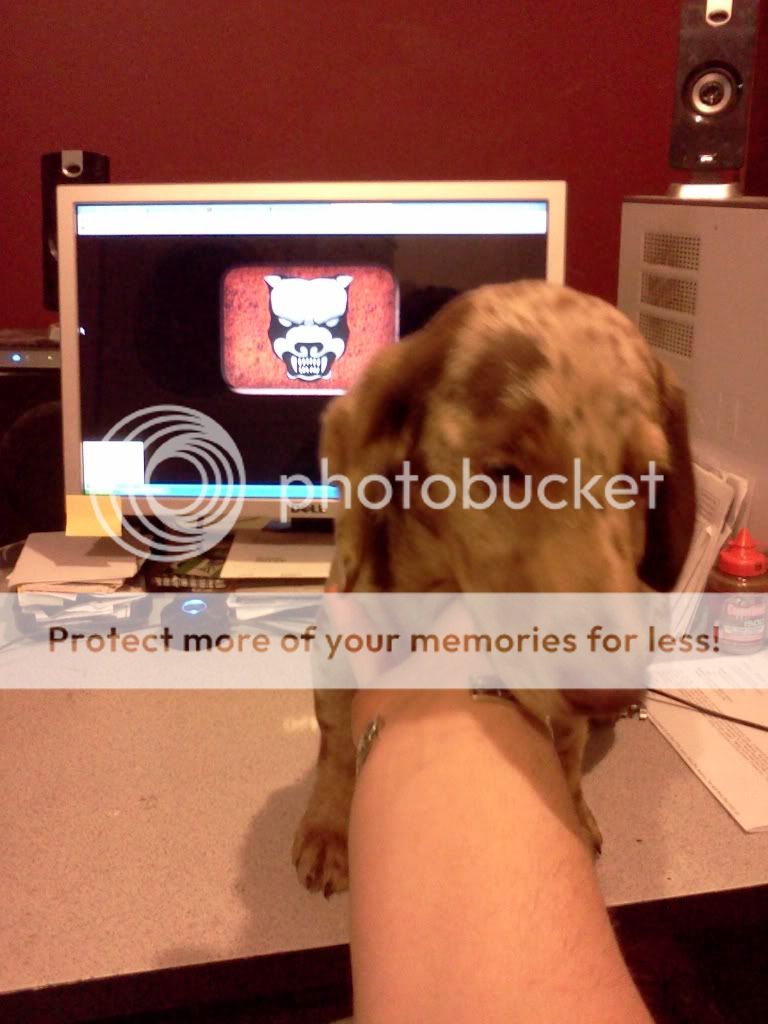 [Linked Image from i888.photobucket.com]