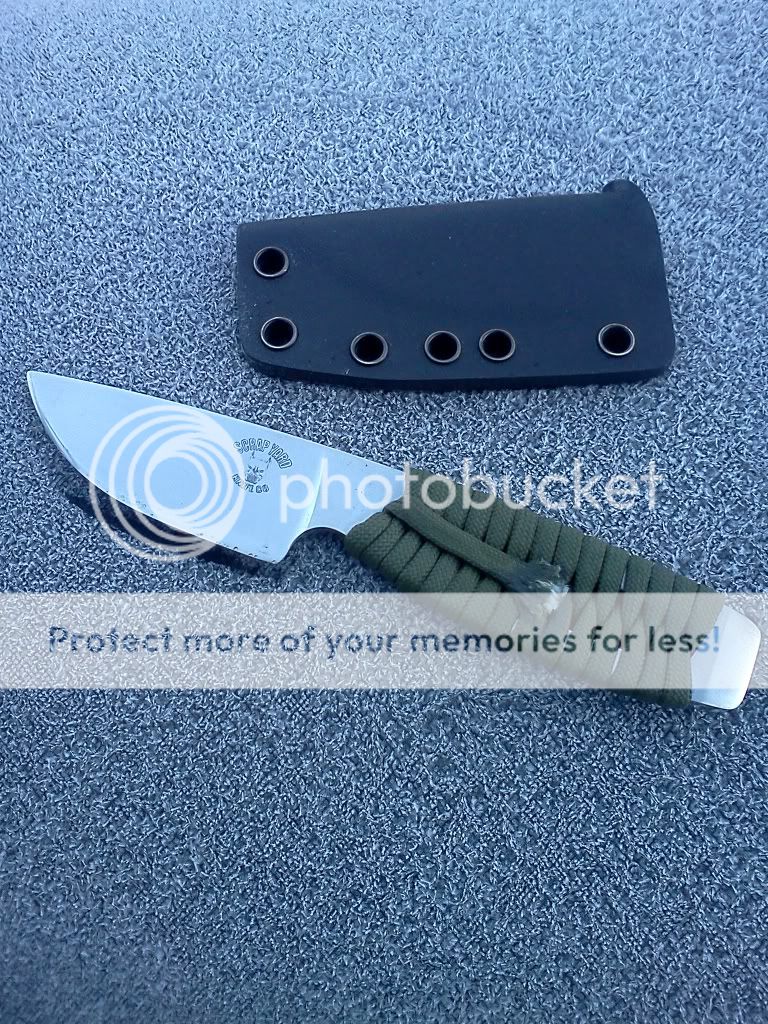 [Linked Image from i888.photobucket.com]