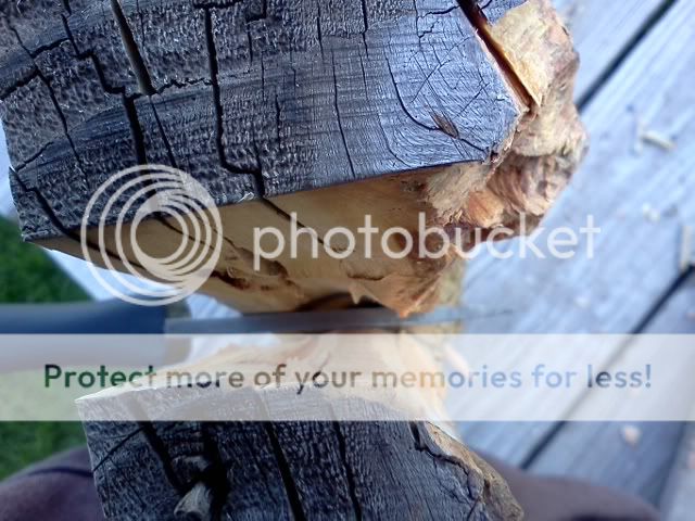 [Linked Image from i888.photobucket.com]