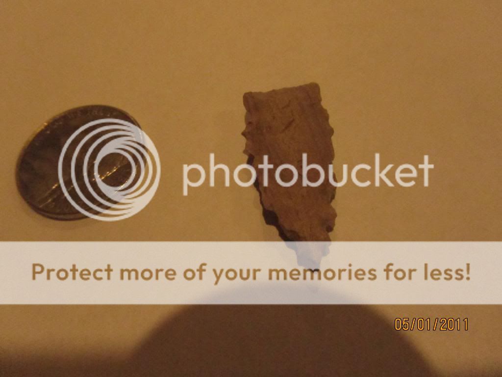 [Linked Image from i888.photobucket.com]