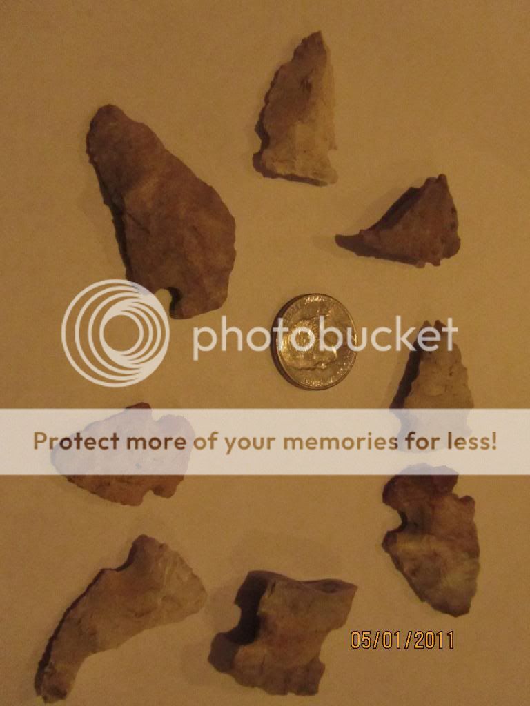 [Linked Image from i888.photobucket.com]