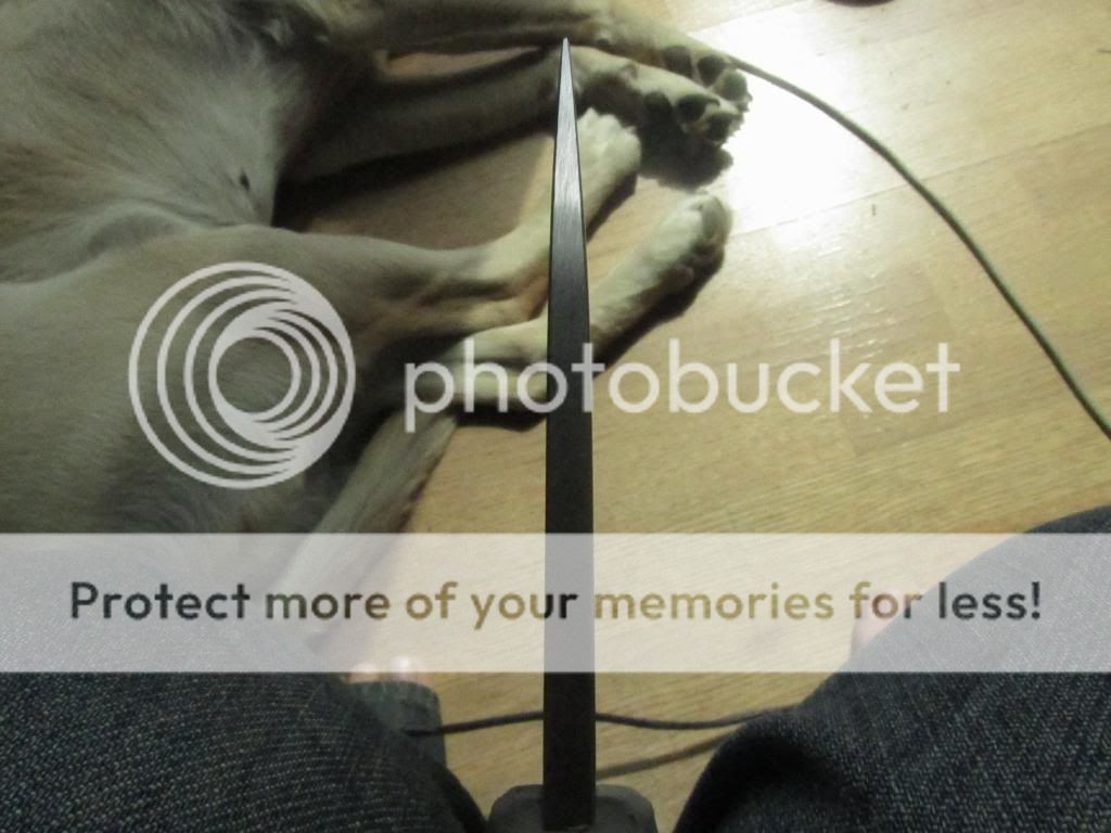 [Linked Image from i888.photobucket.com]