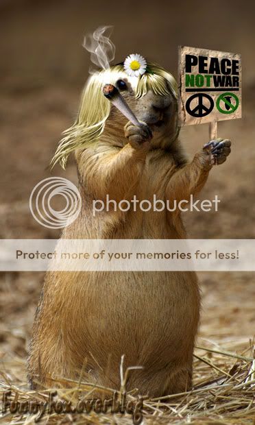 Chien de Prairie Flower Power http://i888.photobucket.com/albums/ac82/funnyfoximages2/Prairie_Dog_Baba-Cool.jpg