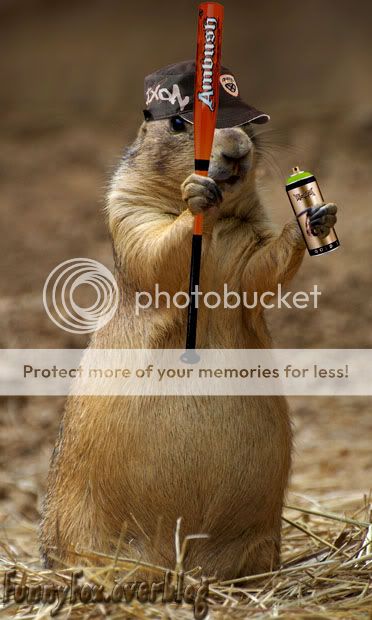 Chien de Prairie Bad Boy , taggeur http://i888.photobucket.com/albums/ac82/funnyfoximages2/Prairie_Dog_Bad-Boy.jpg