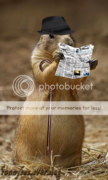 Chien de Prairie paisible citoyen qui s'informe http://i888.photobucket.com/albums/ac82/funnyfoximages2/Prairie_Dog_Citoyen.jpg