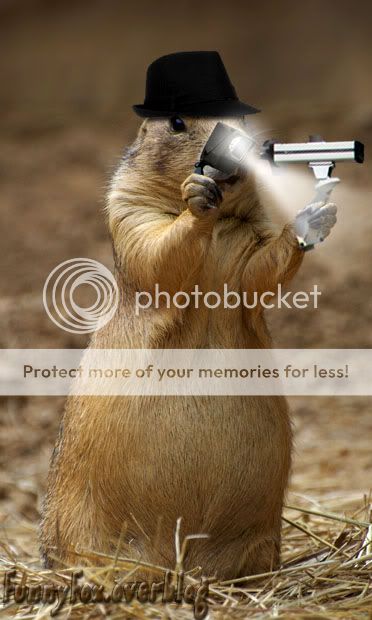 Chien de Prairie Reporter/Journaliste/Videaste http://i888.photobucket.com/albums/ac82/funnyfoximages2/Prairie_Dog_Journaliste.jpg