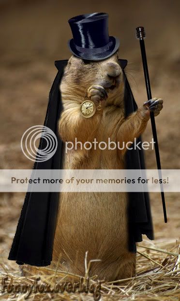 Chien de Prairie Milord à la classe du 19ème siècle http://i888.photobucket.com/albums/ac82/funnyfoximages2/Prairie_Dog_Lord.jpg