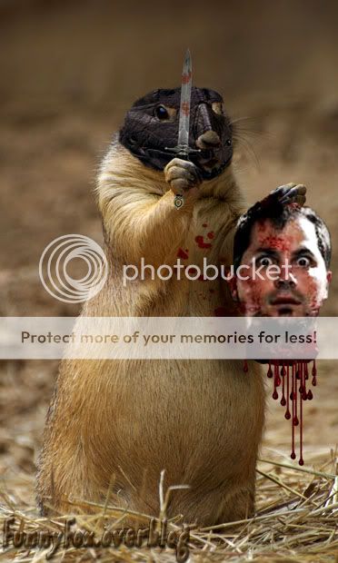Chien de Prairie tueur psychopathe http://i888.photobucket.com/albums/ac82/funnyfoximages2/Prairie_Dog_Psychopathe.jpg