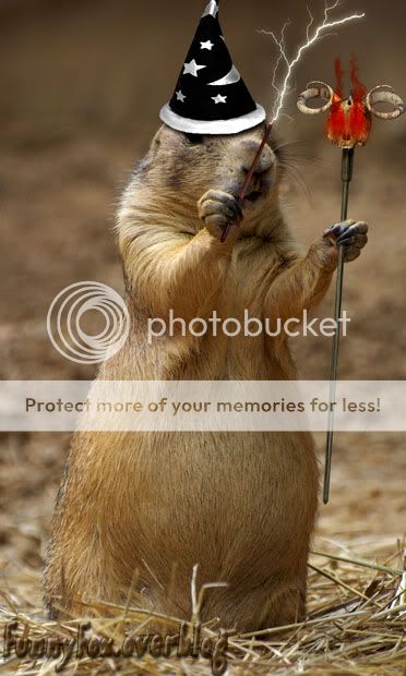Chien de Prairie Sorcier http://i888.photobucket.com/albums/ac82/funnyfoximages2/Prairie_Dog_Sorcier.jpg