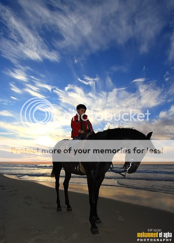 IMAGE: http://i888.photobucket.com/albums/ac83/MohammedAgha/Landscape/rider.jpg