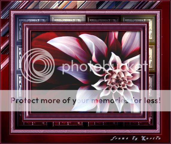 http://i888.photobucket.com/albums/ac83/marila1/tutorial%20eseguiti/libera2a.jpg