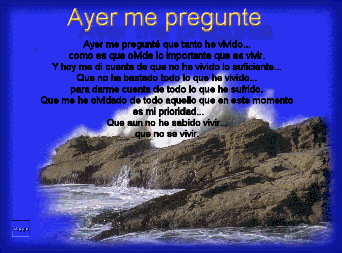 EL PLACER DE LOS PPS - AYER ME PREGUNTE _ REFLEXION - MENSAJES GENERAL