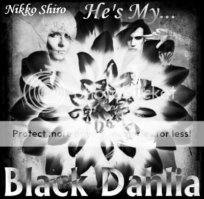 Black Dahlia