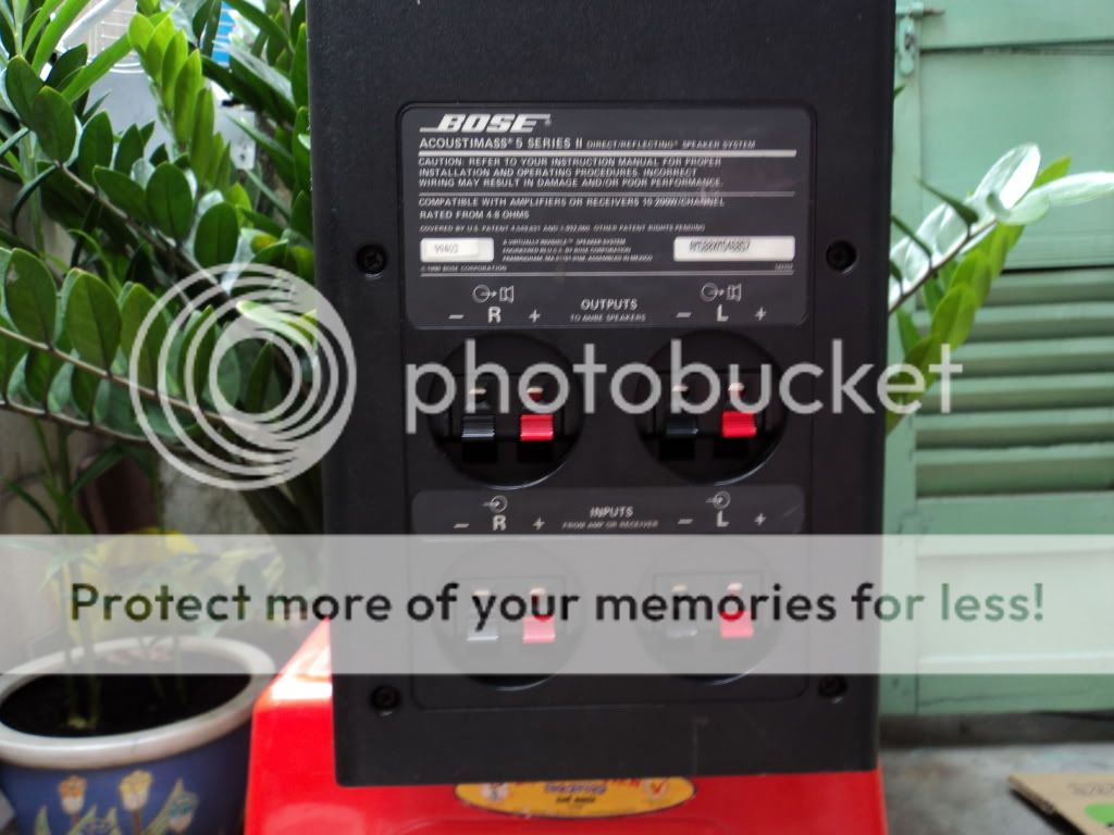 hàng sách tay bên mỹ về loa BOSE M5  đẹp như mới không có âm pli cần bán - 1